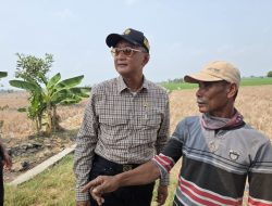 Sawah Mengering di Bekasi, Nada Suara Tinggi Menteri PU Tegur Dirjen SDA