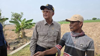 Sawah Mengering di Bekasi, Nada Suara Tinggi Menteri PU Tegur Dirjen SDA
