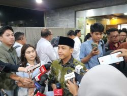 Menhut soal Karhutla: Tiap Kali Padam, Masih Ada yang Mau Kembali Bakar