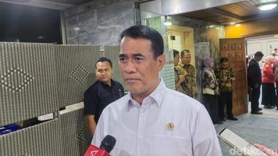 Beras RI Kalah Murah Dibanding Beras Thailand-Vietnam, Ini Kata Mentan
