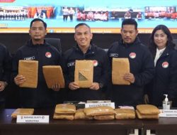 Pengiriman 18 Kg Ganja dan 1.000 Butir Obat Keras via Bus Dibongkar Polisi