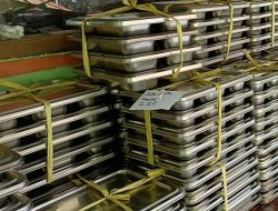 Diduga Keracunan Setelah Mengkonsumsi MBG, Dinkes Temukan Mikroba pada Sampel Makanan