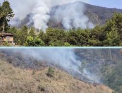 Antisipasi Karhutla, Jalur Pendakian Gunung Arjuno-Welirang Ditutup 