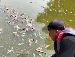 Bangkai Ikan Sapu-sapu Seberat 700 Kg di Kali Bekasi Dikubur Sedalam 2 Meter