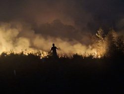Lahan Seluas 18.421 Hektare di Sumatera dan Kalimantan Masih Terbakar