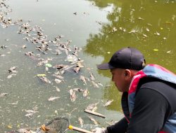 DLH Kota Bekasi Tangani Bangkai Ikan Sapu-Sapu di Kali Bekasi, KP2C Sampaikan Apresiasi